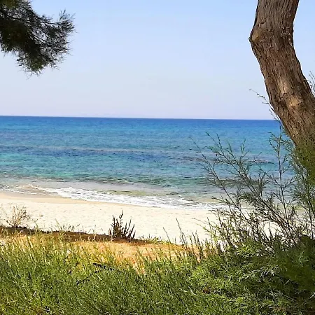 Villa Boree