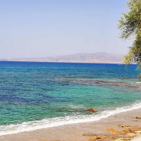 Boree Villa